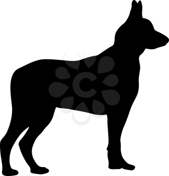 Shepherd dog black silhouette on white background.