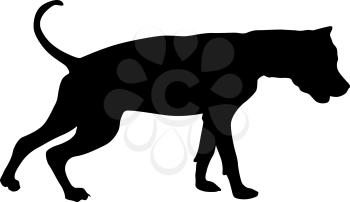 Dunker dog black silhouette on white background.
