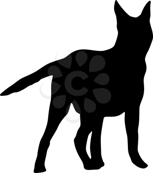 Shepherd dog silhouette on a white background.