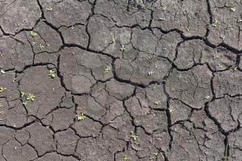 The soil in the desert with cracked by drought.
