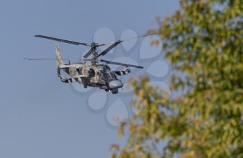 ZHUKOVSKY, RUSSIA - SEPTEMBER 01, 2019: Demonstration of the Kamov Ka-52 Alligator attack helicopter of the Russian Air Force at MAKS-2019, Russia.
