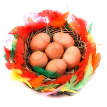 easter egg in nest isolated on white background