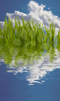 Beautiful nature background. Grass reflection in water.