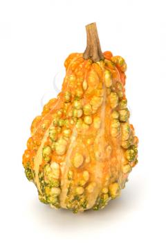 Decorative pumpkin isolated on white background. Halloween and harvest symbol.
