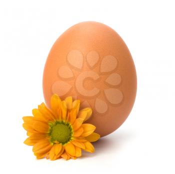 Easter egg  isolated on white background