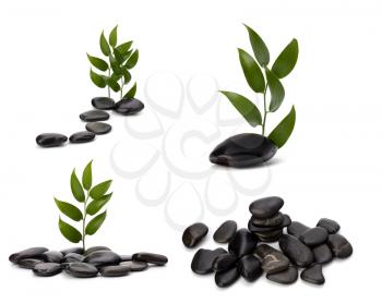 Tranquil scene. Green leaf and stones isolated on white background.
