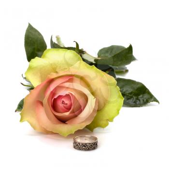 Beautiful rose with wedding ring  isolated on white background