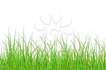 Royalty Free Clipart Image of Grass