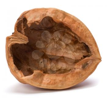 empty walnut shell isolated on white background