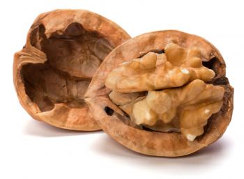 Circassian walnut isolated on white background