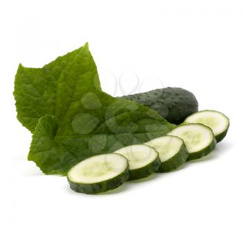 cucumber isolated on white background close up