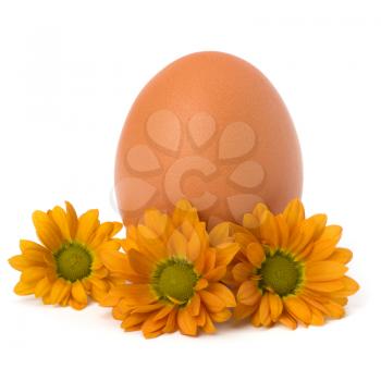 Easter egg  isolated on white background