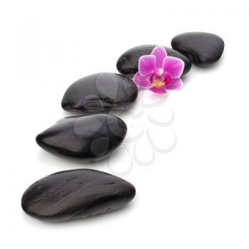 Zen pebbles path. Spa and healthcare concept.