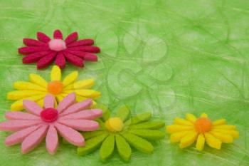 Spring background. Flowers on green sisal background, selective DOF.