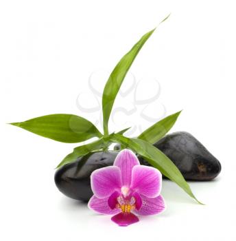 Spa and healthcare concept. Orchid and stones.