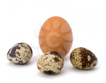 quail and hen's eggs isolated on white background close up