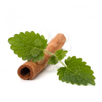 Cinnamon stick and fresh bergamot mint leaf isolated on white background
