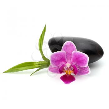 Spa and healthcare concept. Orchid and stones.