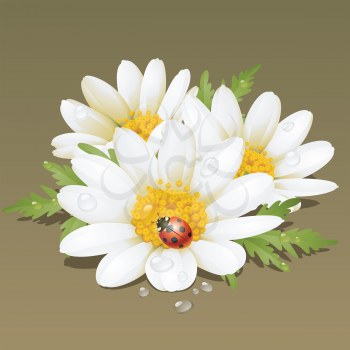 Royalty Free Clipart Image of Flowers and a Ladybug