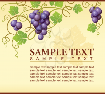 Royalty Free Clipart Image of Grape Background