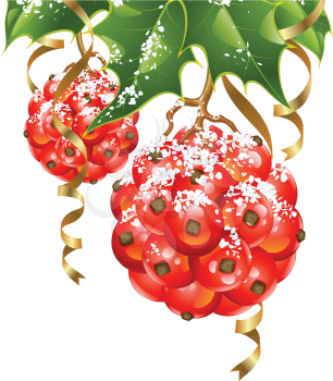 Royalty Free Clipart Image of a Holly Balls