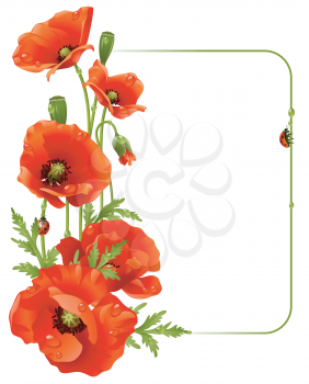 Royalty Free Clipart Image of a Poppy Frame