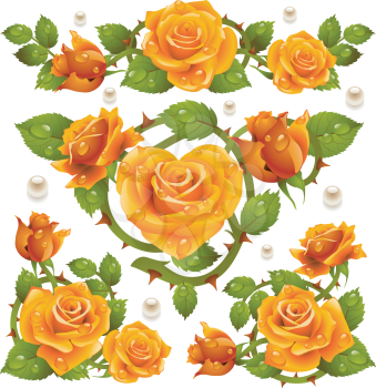 Royalty Free Clipart Image of a Orange Rose Elements