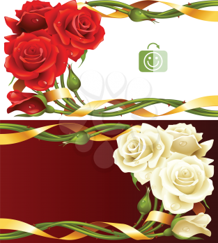 Vector horizontal frame set of red and white roses intertwined with a golden ribbon