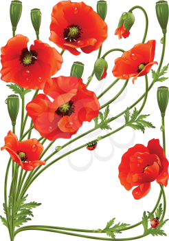 Vector frame with red poppies and ladybug