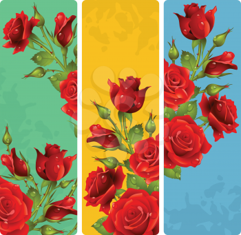 Red Rose frames. Vector set of floral vertical banners