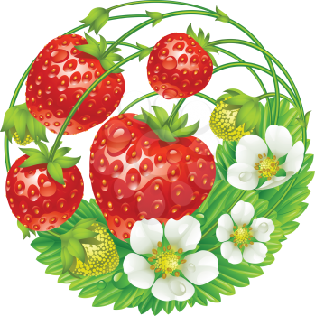 Vector strawberry round composition isolated on white background