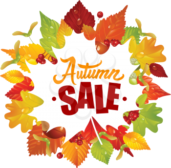 Vector Frame with Fall Leaves, Chestnut, Acorn and Ashberry. Lettering of Autumn Sale Text. Season Discount Banner Isolated on White Background