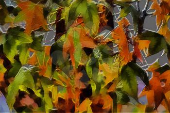 Royalty Free Photo of a Painting of Autumn Leaves