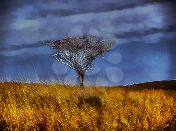 Royalty Free Photo of a Tree in a Grassland Illustration