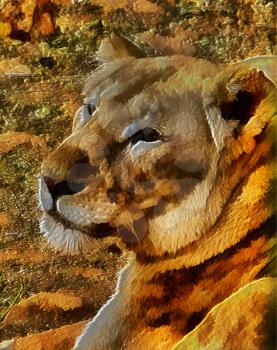 Royalty Free Photo of a Lioness Illustration