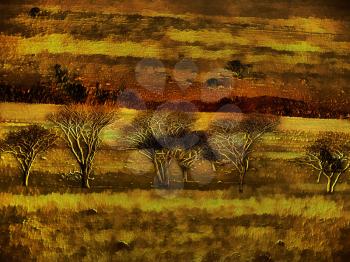 Royalty Free Photo of Bare Trees in a Grassland