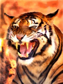 Royalty Free Photo of a Growling Tiger