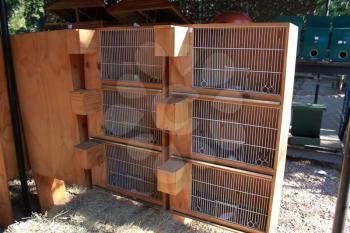 Royalty Free Photo of Wooden Bird Cages