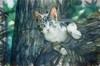 Royalty Free Photo of a Painting of a Cat