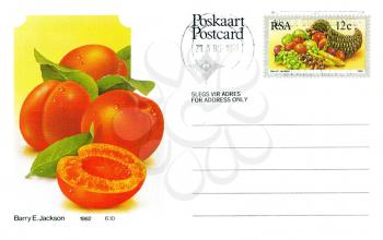 Royalty Free Photo of a Postcard with an Apricot Painting