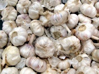 Royalty Free Photo of Garlic Cloves