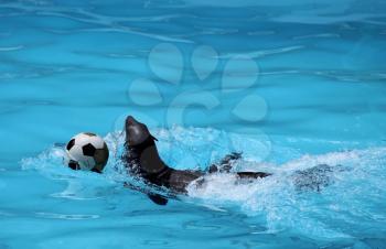 Royalty Free Photo of a Seal Playing with Soccer Ball in a Pool