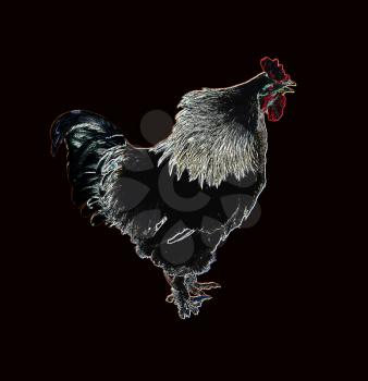 Royalty Free Photo of a Drawing of a Cock