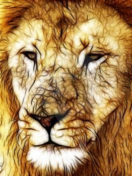 Royalty Free Photo of an Illustration of a Lion