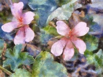 Royalty Free Photo of an Oil Painting of a Malva Plant
