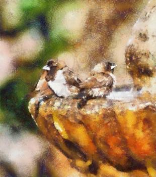 Royalty Free Photo of an Oil Painting of Small Mossie Birds
