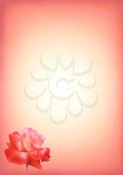Royalty Free Photo of a Pink Rose Greeting Card