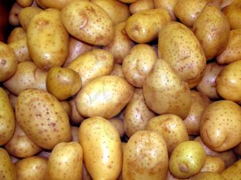 Royalty Free Photo of a Bunch of Potatoes