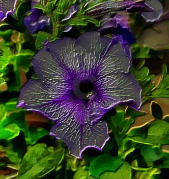 Royalty Free Photo of an Illustration of a Purple Petunia Flower
