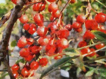 Royalty Free Photo of an Oil Painting of Red Berries 
